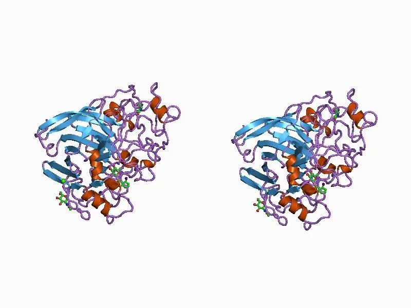 سيلوبيوهيدروليز I من Trichoderma reesei — تمثيل شريطي (PDB 1CEL)
